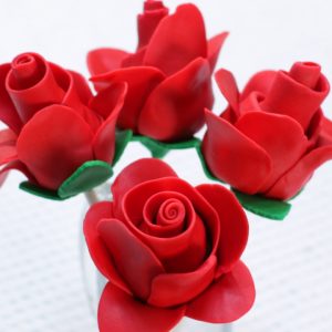 Valentine Roses